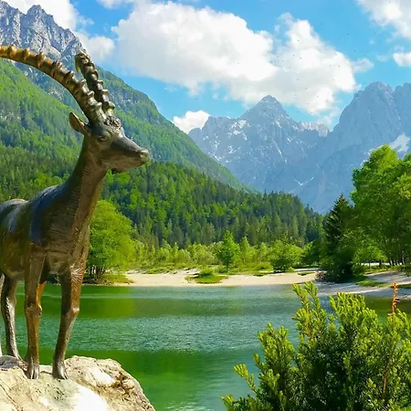 Casa vacanze Alpine Retreat Gaja - Happy