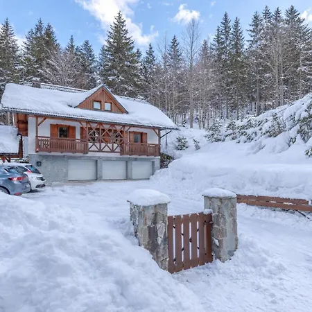 Tatil Evi Alpine Retreat Gaja - Happy *